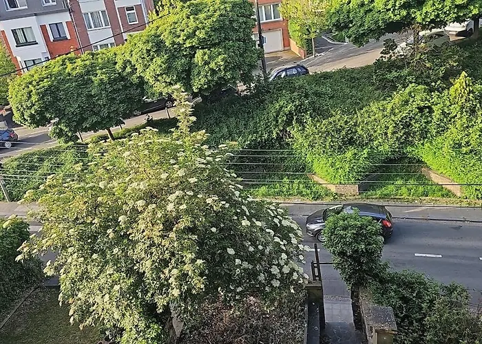 Holiday home Charlemagne House *